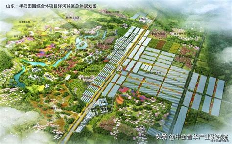 种植园的可行性分析报告范文怎么写