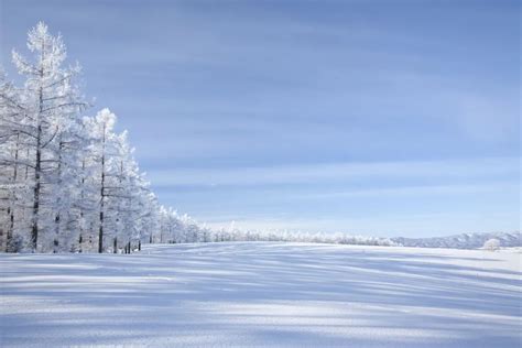 北方大雪唯美图片