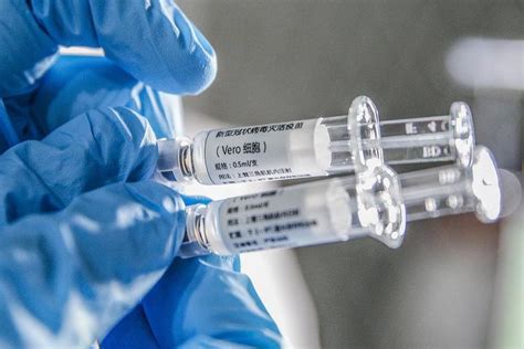 中国人有打辉瑞疫苗吗