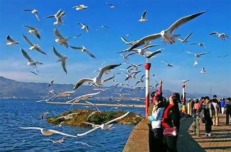 春季旅游去哪