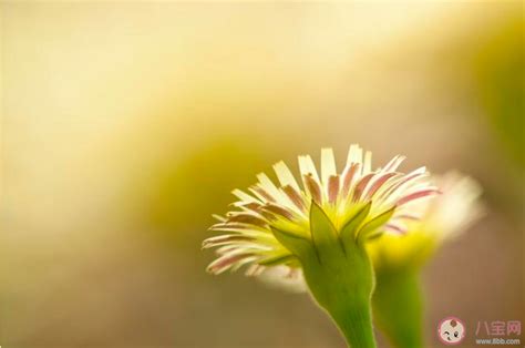 要是一切都回到从前的说说