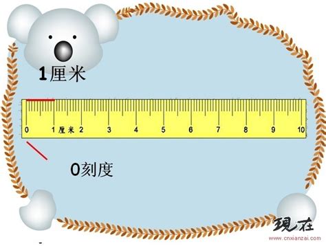 16岁还可能长高10厘米吗