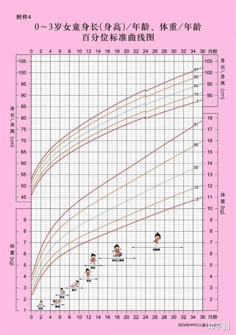 世界卫生组织0-2岁身高曲线图下载