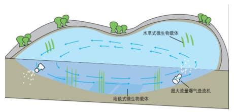 养殖管理中如何调水