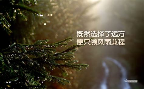 青春微笑的句子