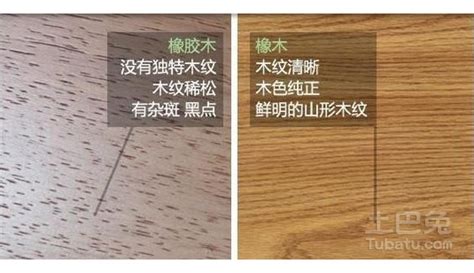 松木和櫸木的兒童床,哪個更適合?