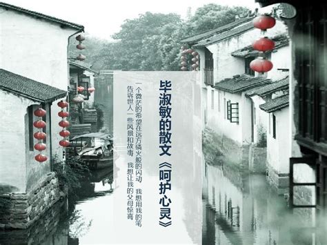 《毕淑敏散文集》读后感300字[共计5则]