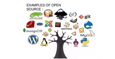 开源软件是什么意思.