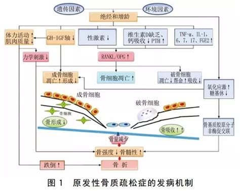 人工授精的胎儿容易流产吗