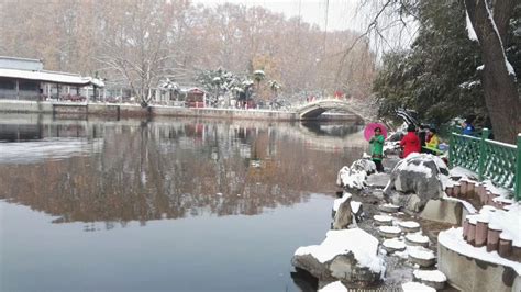 郑州紫荆山公园的概述
