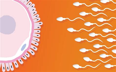 精子长时间发黄会影响生育吗