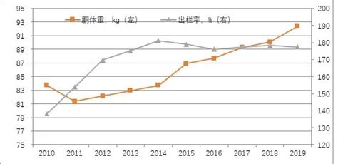 名词解释出栏率