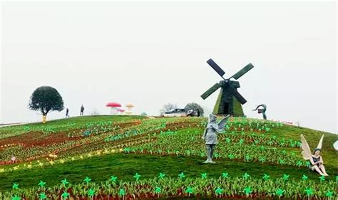 台湾有哪些赏花的好地方