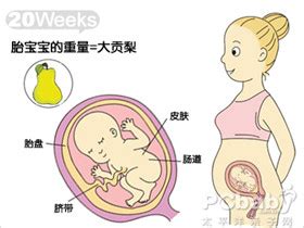 八年级上册前三章知识点