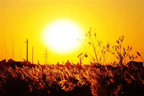 夕阳无限好-写景作文500字(摘抄4篇)