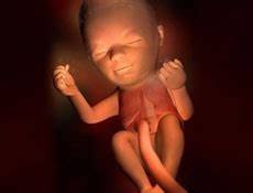 胎教怎么和宝宝说话