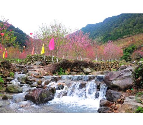 游桃花谷-写景作文400字(合集9则)