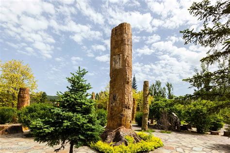延慶硅化木國家地質公園,有人去過嗎,怎么樣,好玩嗎?