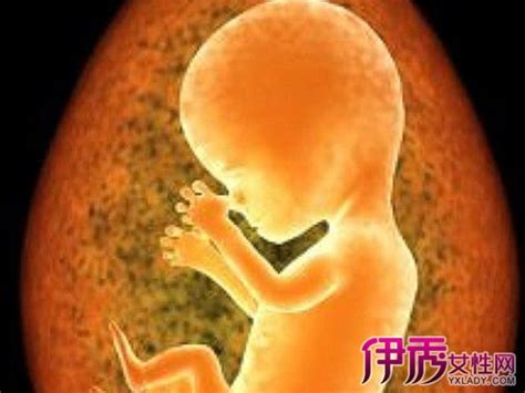 怀孕三个月的胎儿双胎