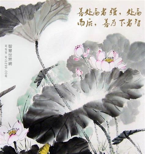 水不往低处流_身边的科学作文400字(共4则)