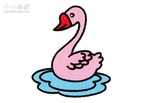 加油白天鹅-童话作文900字[共7篇]