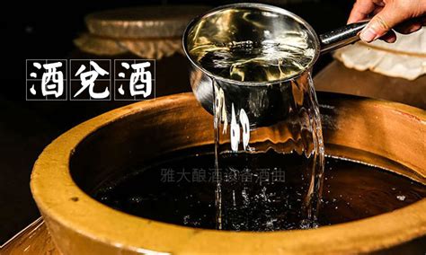 大家平時小酌喝什么酒?小郎酒怎么樣?