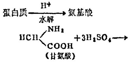 胺和铵的区别