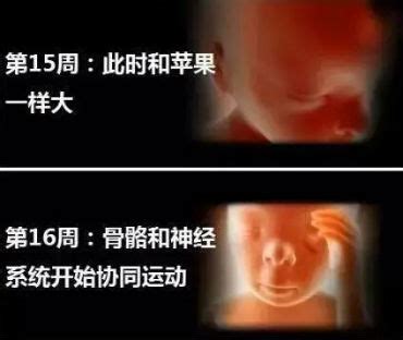 孕妇哭对胎儿有影响吗