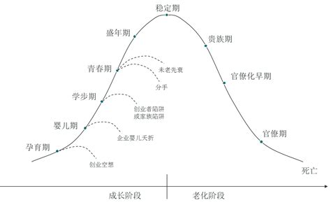 枸杞何时结果何时采摘