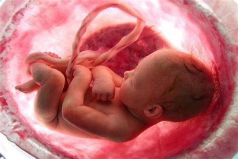 孕妇晚睡对胎儿有哪些不利影响