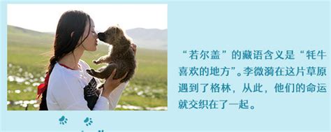 《让我陪你重返狼群》-读后感700字【共计8篇】