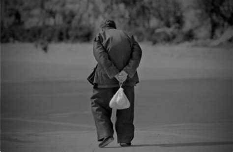 等待着爱归来【共8则】