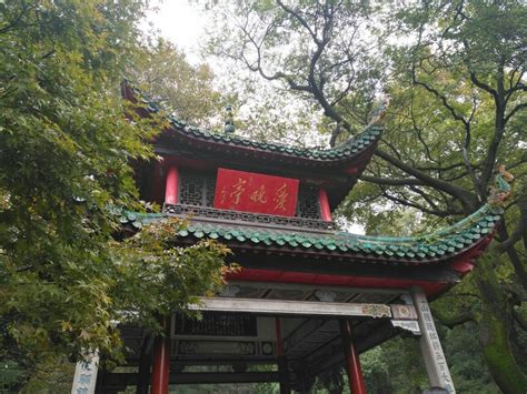 爱晚亭的古诗词