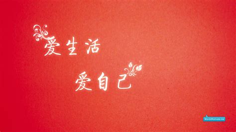 文艺美句图片