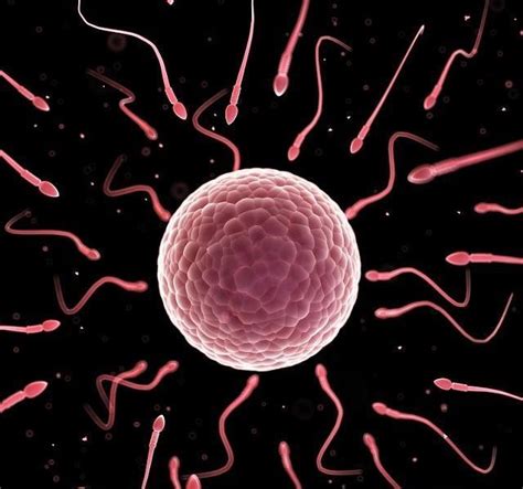 孕吐厉害怎么办啊是怀的女孩吗