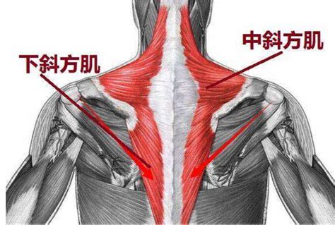男性靠左胯附近有硬块