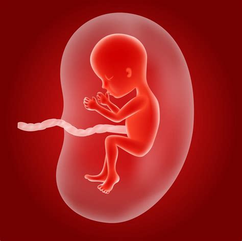 孕期胎儿发育迟缓怎么办