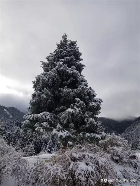 南方下雪和北方下雪的区别