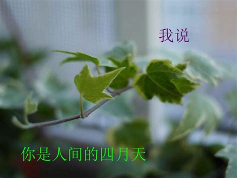 四月的第一天祝福句子