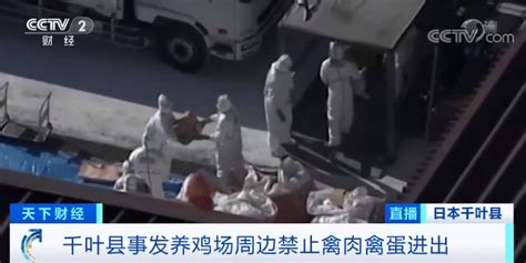 鸡禽流感怎么治疗