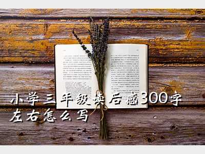 《自信》-二年级读后感300字（汇总7则）