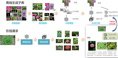 哲学基础识别万物实