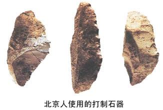 欧洲最古老人类化石