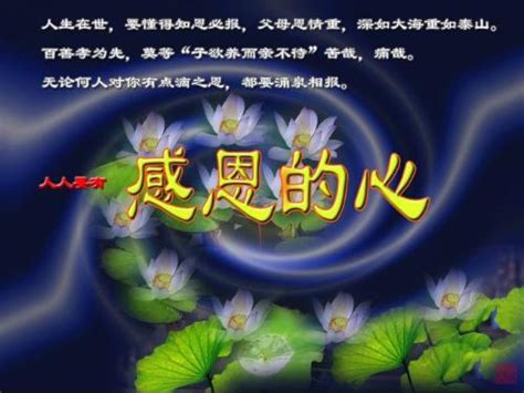 知恩图报 善莫大焉-读《搜神记》有感450字（共计8篇）