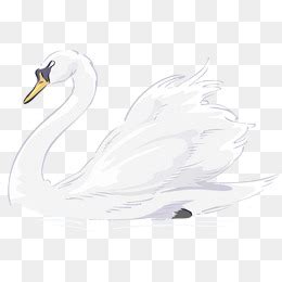 可爱的小白鹅-描写动物的作文550字(摘抄9篇)