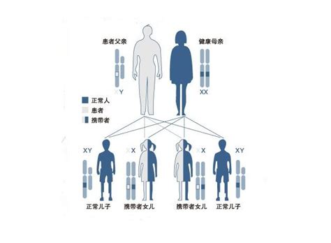 什么是遗传性疾病,有哪些种类