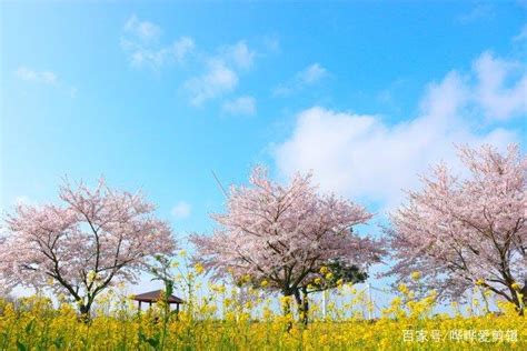 春暖花开的简短句子
