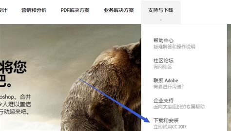 dbml文件是什么