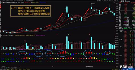 DAF指的是什么