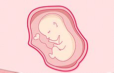 怀孕一到十个月胎儿生长过程